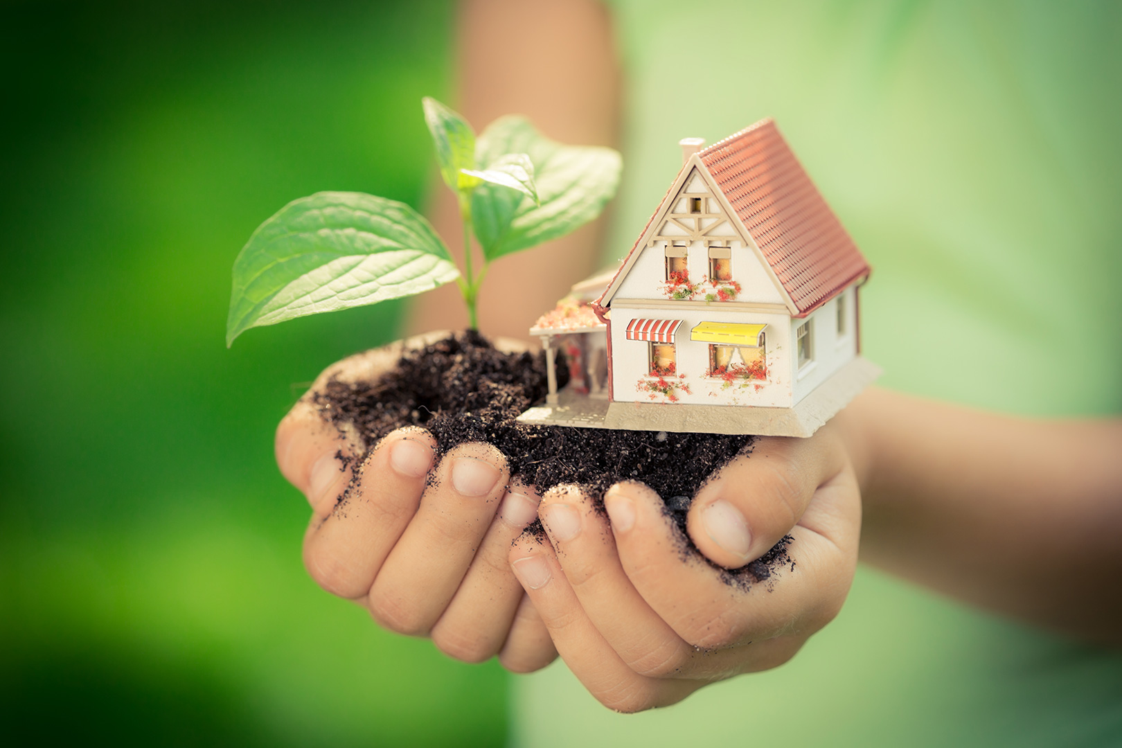 ¿Tu hogar es ecológico? 